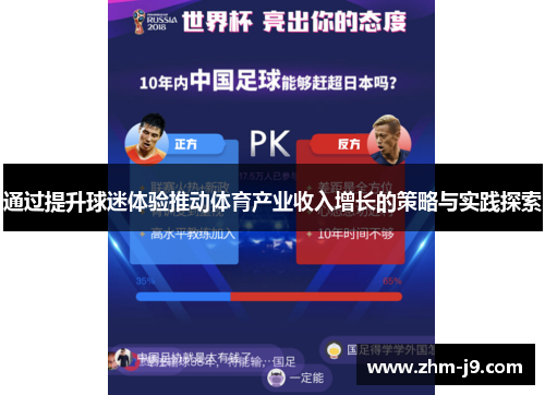 通过提升球迷体验推动体育产业收入增长的策略与实践探索