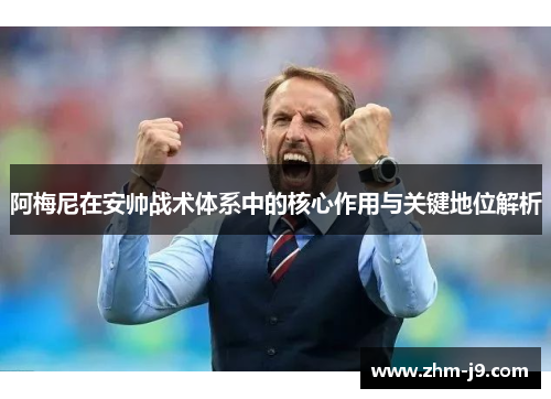 阿梅尼在安帅战术体系中的核心作用与关键地位解析